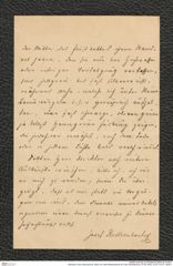 Nachlass Franz Steindachner, Brief von Josef Redtenbacher an Franz Steindachner (14.06.1878), Inv.Nr. 413.01, Seite 4